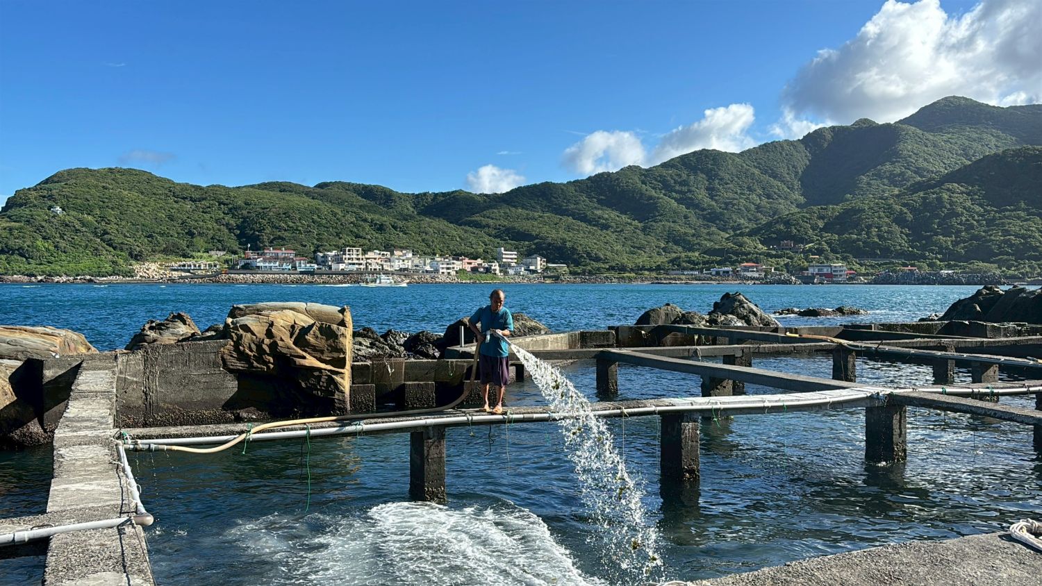 新北免費貢寮鮑體驗11月登場！8場食魚教育10/23開放報名｜生活｜日享傳媒 SunRiseSharing