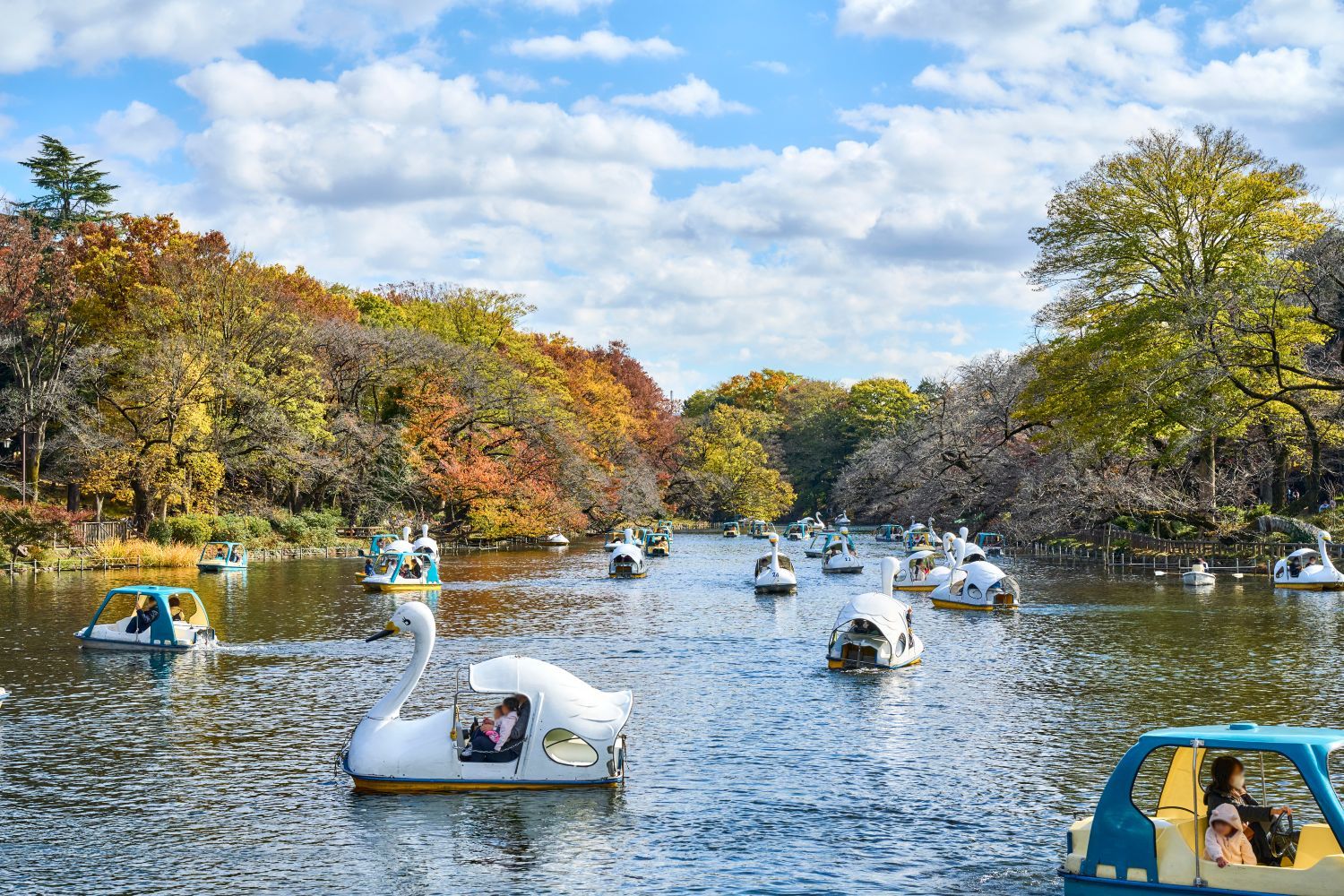 東京自由行新玩法！2026 ITF旅展11/6登場、互動遊戲送限定好禮｜旅遊｜日享傳媒 SunRiseSharing